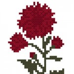 crizantema2b-150x150