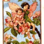 Apple-Blossom-Flower-Fairy-Vintage-Print-150x150