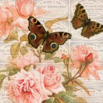 Pennsylvania-advertisements-pink-roses-brown-butterflies-4x41-150x150