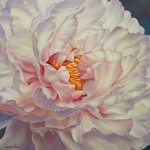 Peony-Petals1-150x150