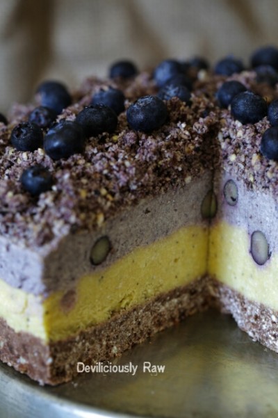 blueberry_mango_passion_cake_2_of_1_201506091657240521